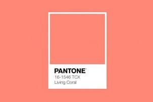ZHQTnP-1-coral-vivo-color-ano-color.jpg