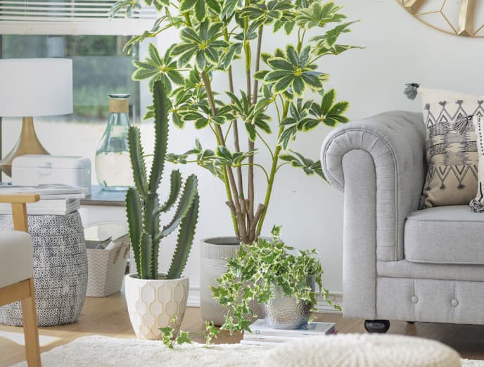 Inspírate con estos 10 maceteros para tus plantas