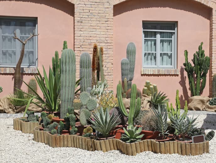 Los 10 pasos para hacer un jardín seco y ahorrar agua este verano