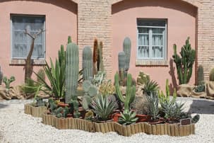 Portada_como-hacer-jardin-seco.jpg