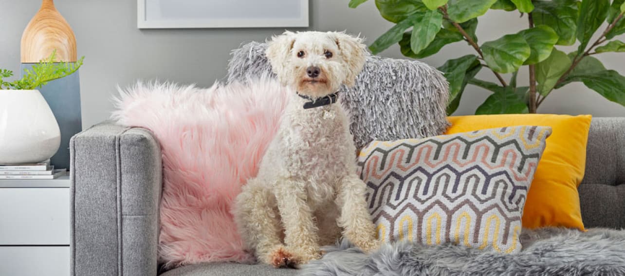 5 ideas decorativas para ahorrar dinero