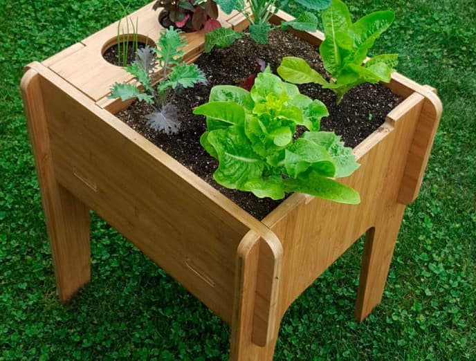 ¿Cómo crear una huerta en tu departamento?