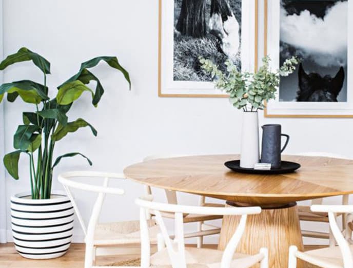 ¿Cómo y dónde poner una alfombra redonda?