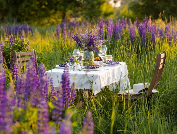 Conoce las 6 plantas de exterior más resistentes al frío y al calor