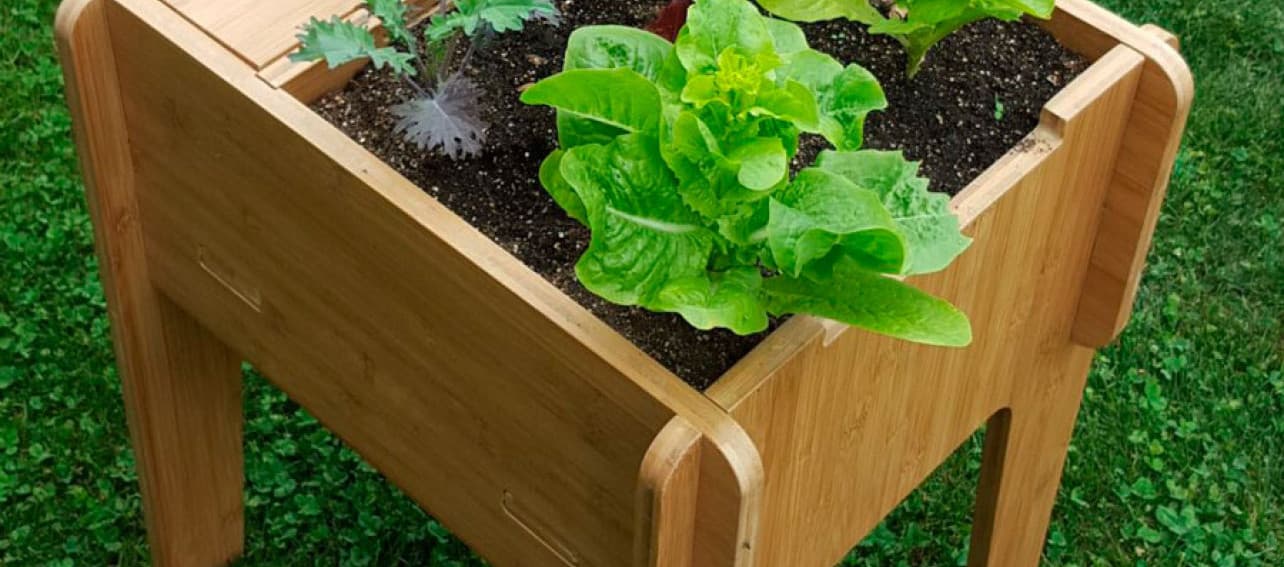 ¿Cómo crear una huerta en tu departamento?