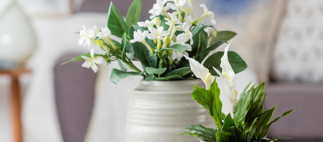 ¡Flores para la mamá!