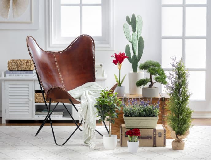 Limpieza profunda de primavera: detoxifica tu hogar