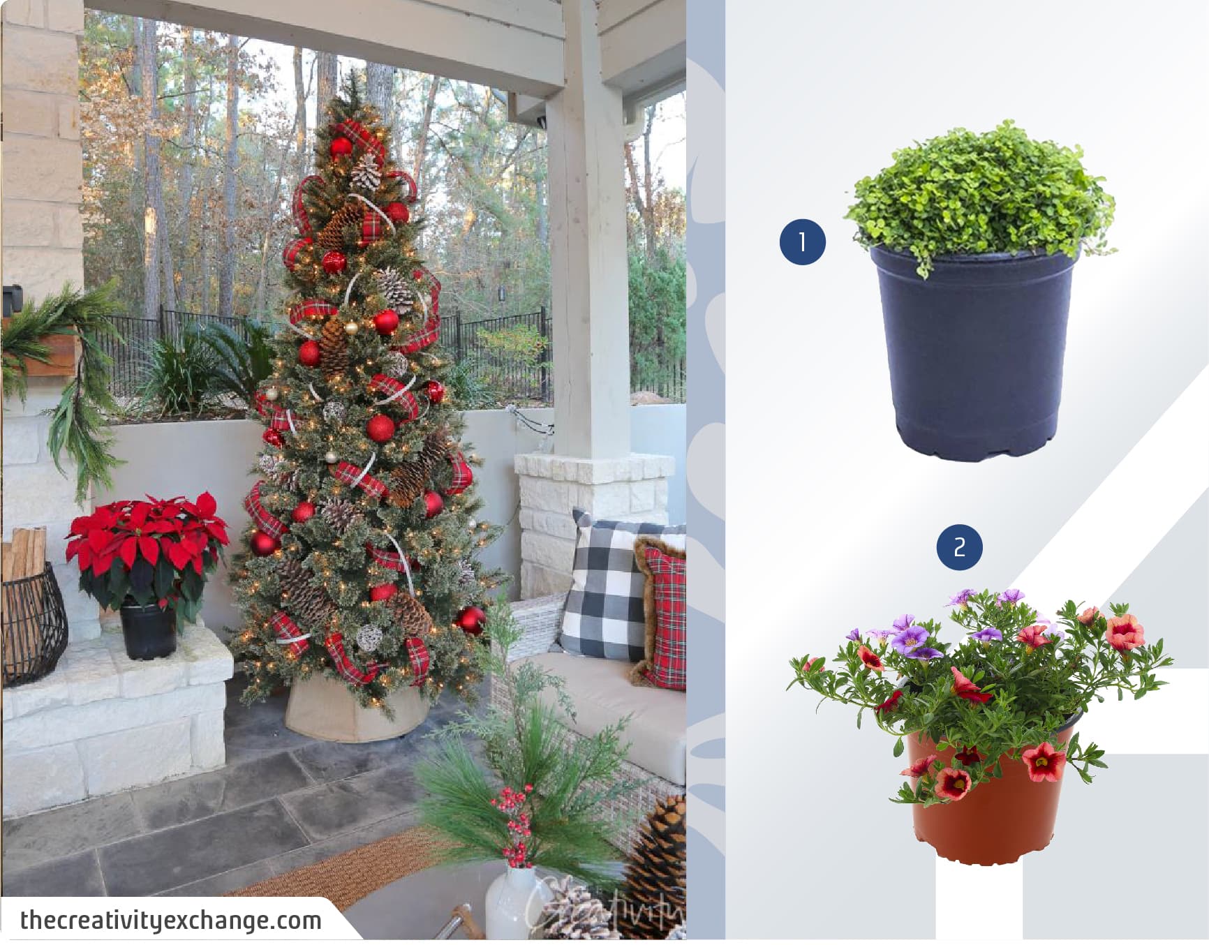 Terraza decorada con un árbol de navidad, plantas naturales y cojines con motivos gingham, junto a un moodboard de plantas naturales disponibles en Sodimac.