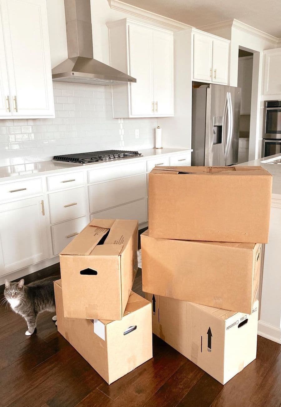 Caja de cartón apiladas en una cocina con muebles blancos y piso de madera. Junto a ellas hay un gato gris.