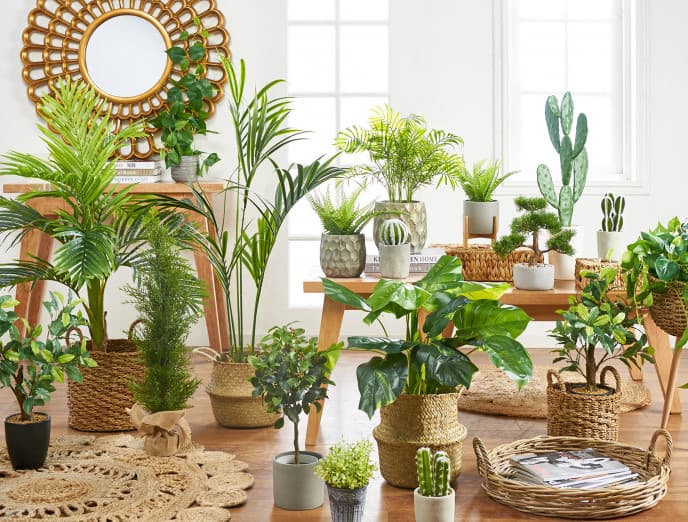 Inspírate con estos 10 maceteros para tus plantas - Decolovers