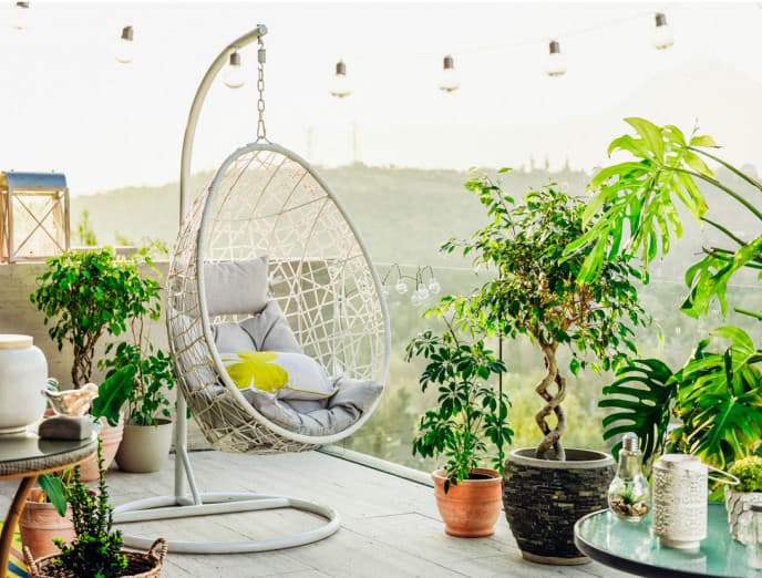 Plantas y Feng Shui: cómo atraer la abundancia y la prosperidad