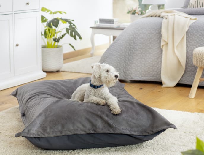 Muebles para gatos y perros que no interfieren con tu deco