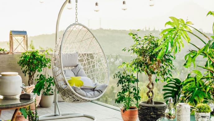 Plantas y Feng Shui: cómo atraer la abundancia y la prosperidad
