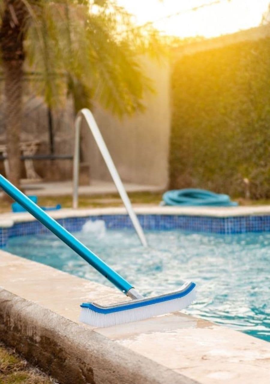 Primer plano de escobillón o cepillo de piscina, de mango celeste y cerdas blancas. El cepillo está en el borde de concreto de una piscina. Atrás se ve la escalera con baranda metálica. Afuera hay una manguera de limpieza enrollada.