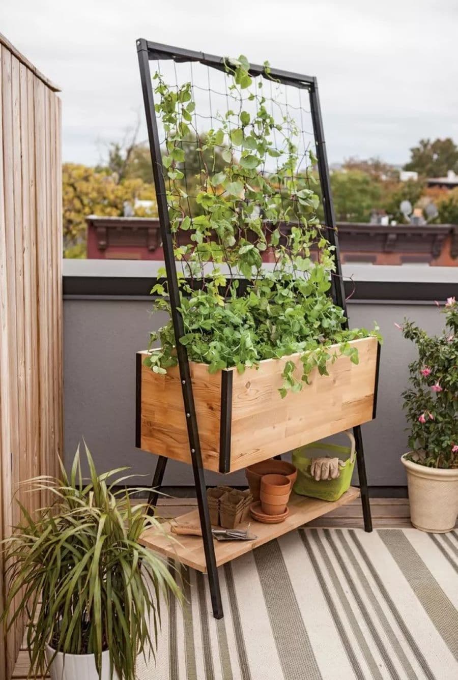 Jardinera para mini huerto, de madrea, con metal negro. Tiene una rejilla por donde sube una enredadera. Abajo tiene una repisa con maceteros y artículos de jardinería. Está ene una terraza con muro gris, otro de madera y piso con alfombra de líneas verde 