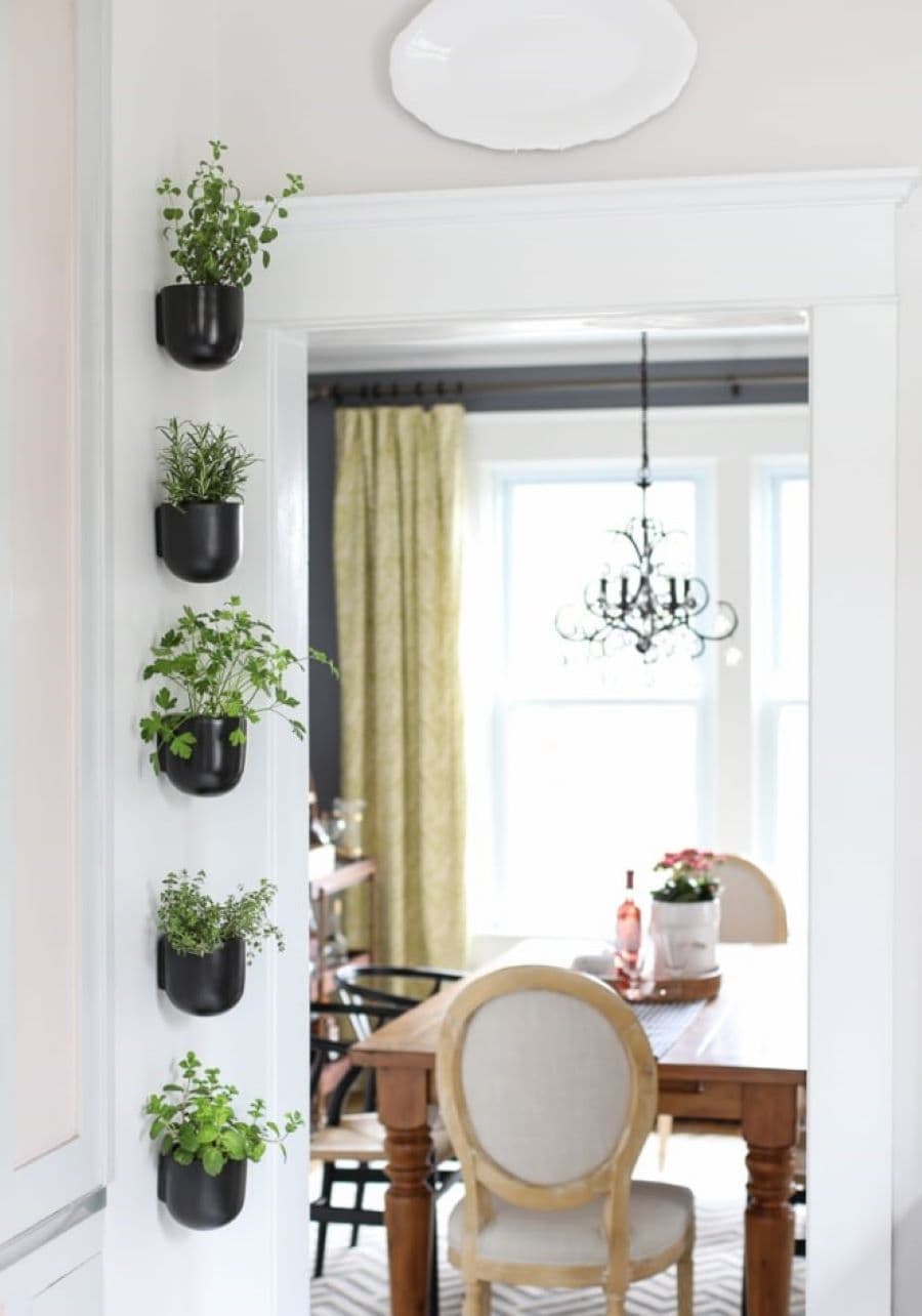 Rincón de una casa clásica con una fila de maceteros negros, con hierbas, en un pequeño rincón, sobre un muro blanco. Atrás se ve un comedor de madera con silla con tapiz beige y una lámpara estilo candelabro.