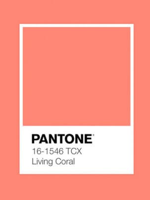 ZHQTnP-1-coral-vivo-color-ano-color.jpg