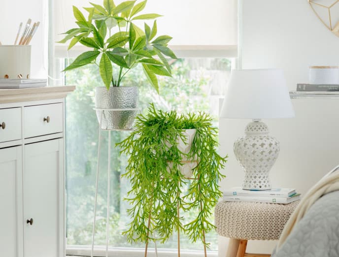 Plantas decorativas, ¡llena todos los rincones de tu casa!