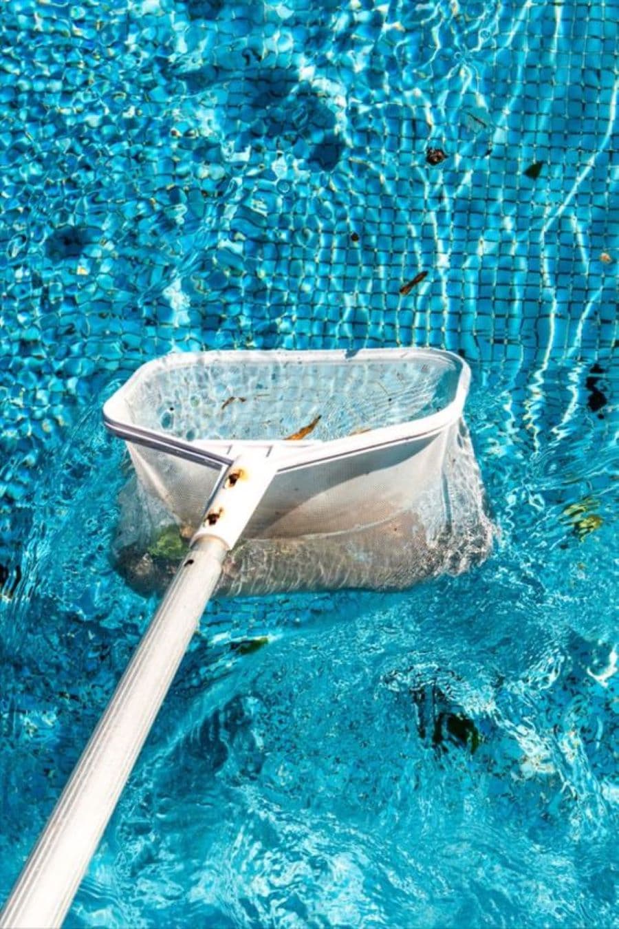 Detalle de un colador o limpiador de malla de piscina, color blanco, que está recogiendo pequeñas hojas de la superficie. Piscina con azulejos pequeños, color azul