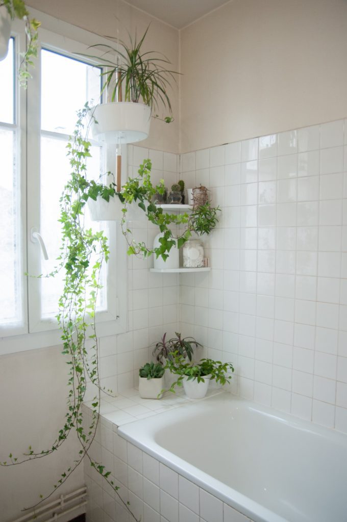 Baño con cerámicos blancos, repisas esquineras y maceteros con plantas verdes y enredaderas.