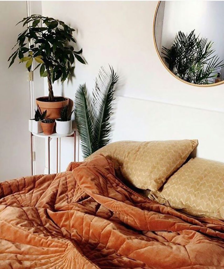Dormitorio con almohadas y quilt terciopelo en tonos mostaza y café. Plantas de hojas grandes y cactus adornan el lugar. Espejo con borde dorado como respaldo de la cama.
