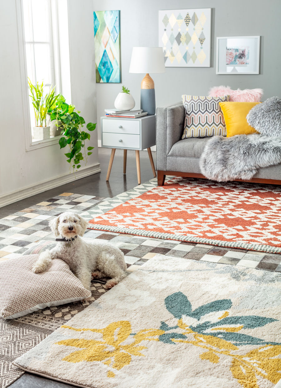 Living con un sofá gris con varios cojines, tres alfombras distintas y un perro blanco con un cojín.