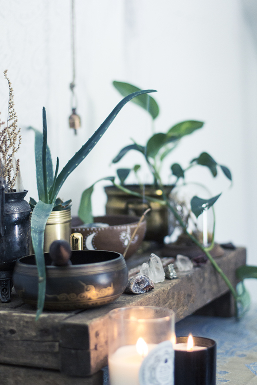 Plantas en un rincón junto a velas y elementos decorativos para un sector zen.
