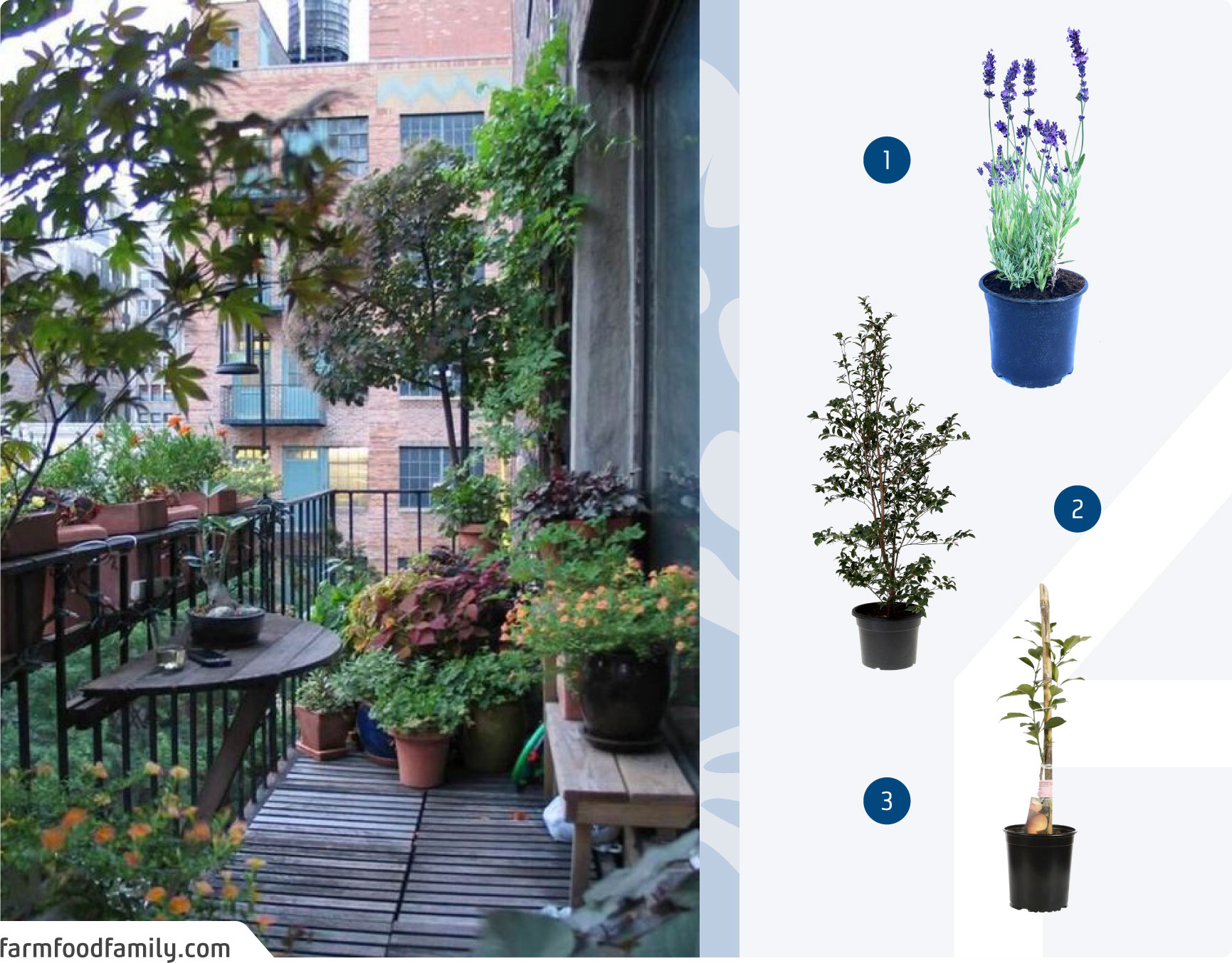 Moodboard de inspiración con 3 plantas de exterior disponibles en Sodimac y una foto de una terraza llena de plantas.