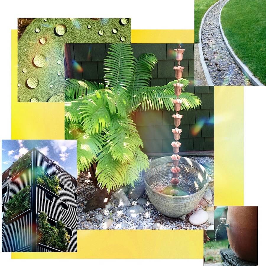 Collage con fotos de plantas, un camino de piedras, un edificio con plantas y un llave de agua.