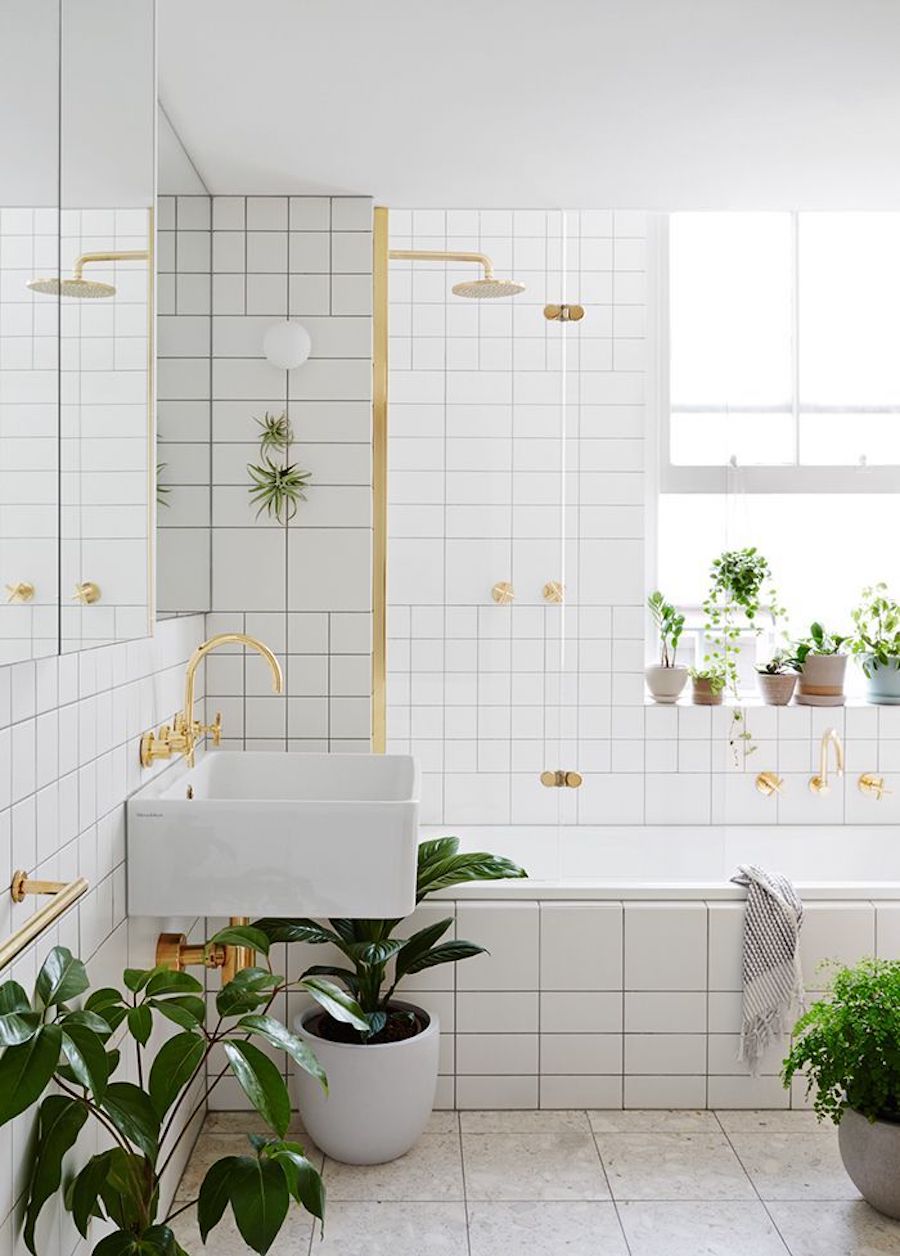 Baño de azulejos y cerámicas blancas con grifería dorada. Tanto en la ventana como en el suelo hay maceteros con plantas de distintos tamaños y especies.