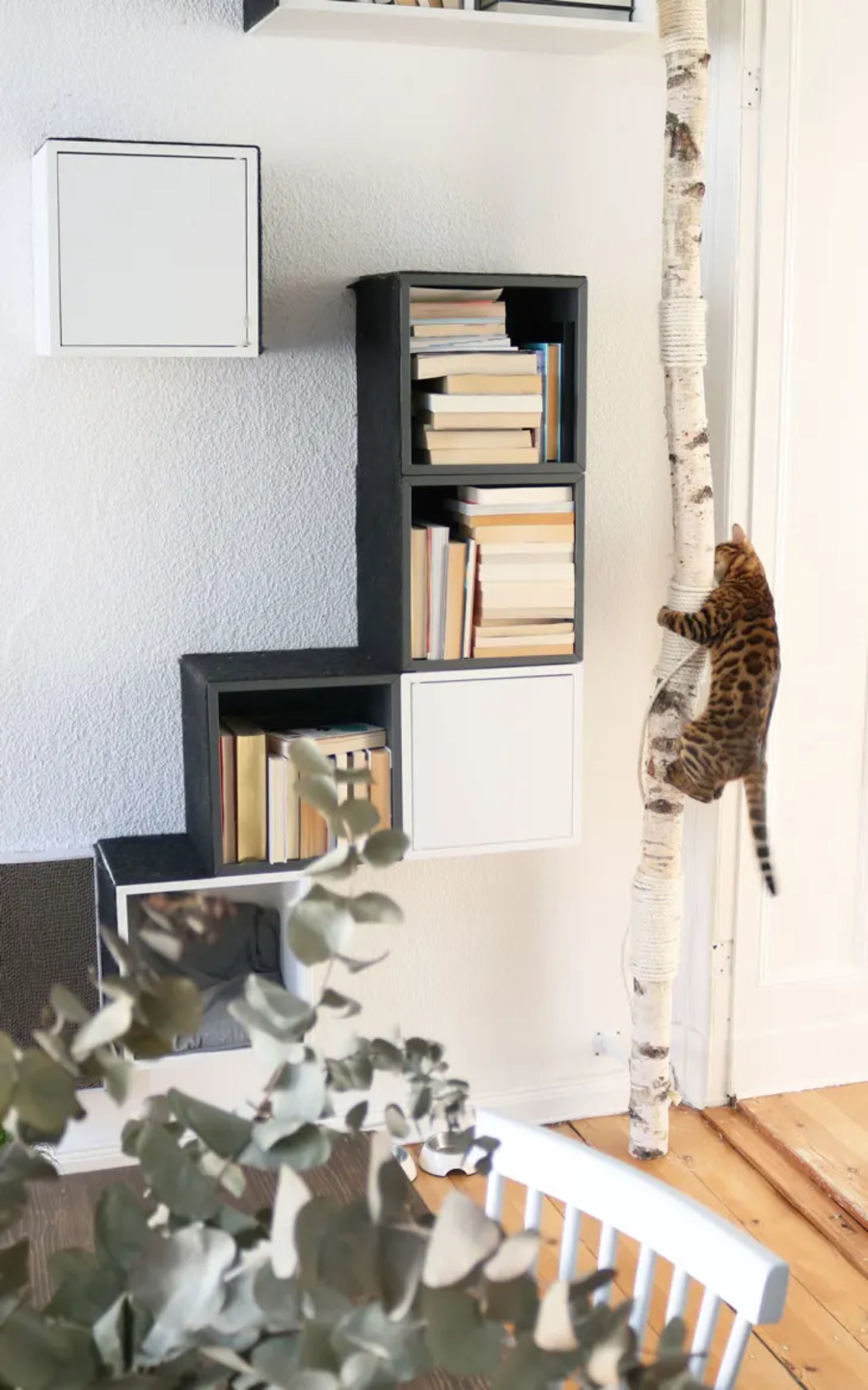 Rascador para gatos hecho con tronco y cuerda. Repisas flotantes tipo cubo en color negro y blanco. Muro blanco y piso de madera natural.