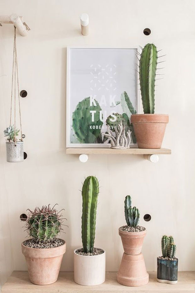 1-decora-con-cactus-y-suculentas-en-repisas