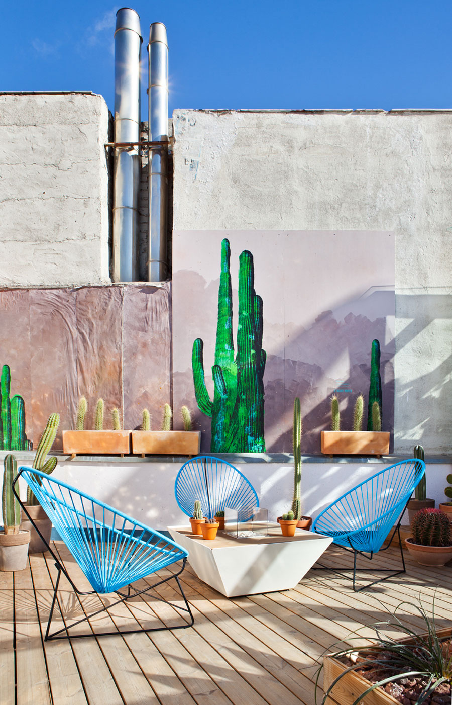 para seguir el verano las sillas Acapulco, los cactus y las láminas de cactus ayudan en la decoración