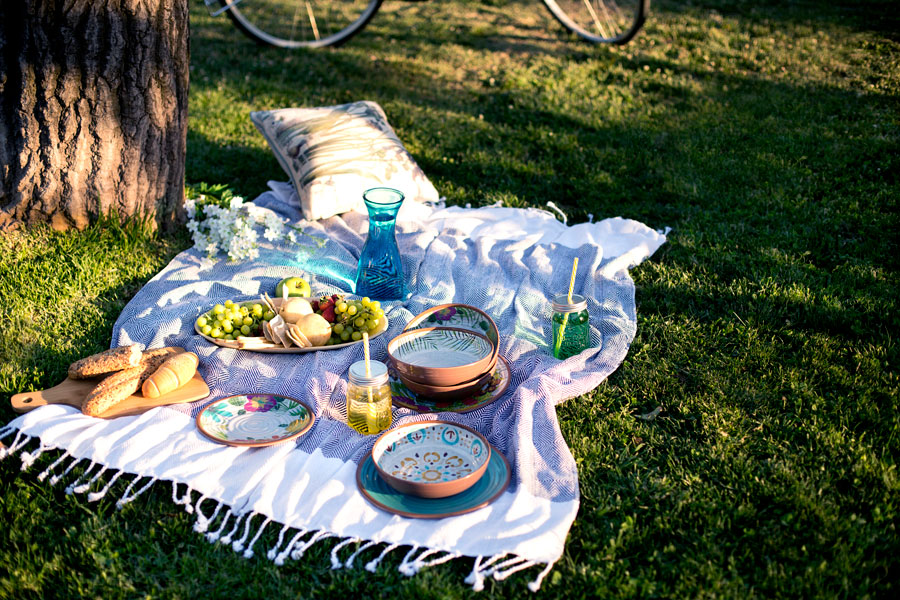 celebración dos picnic pasto manta con platos y bowls