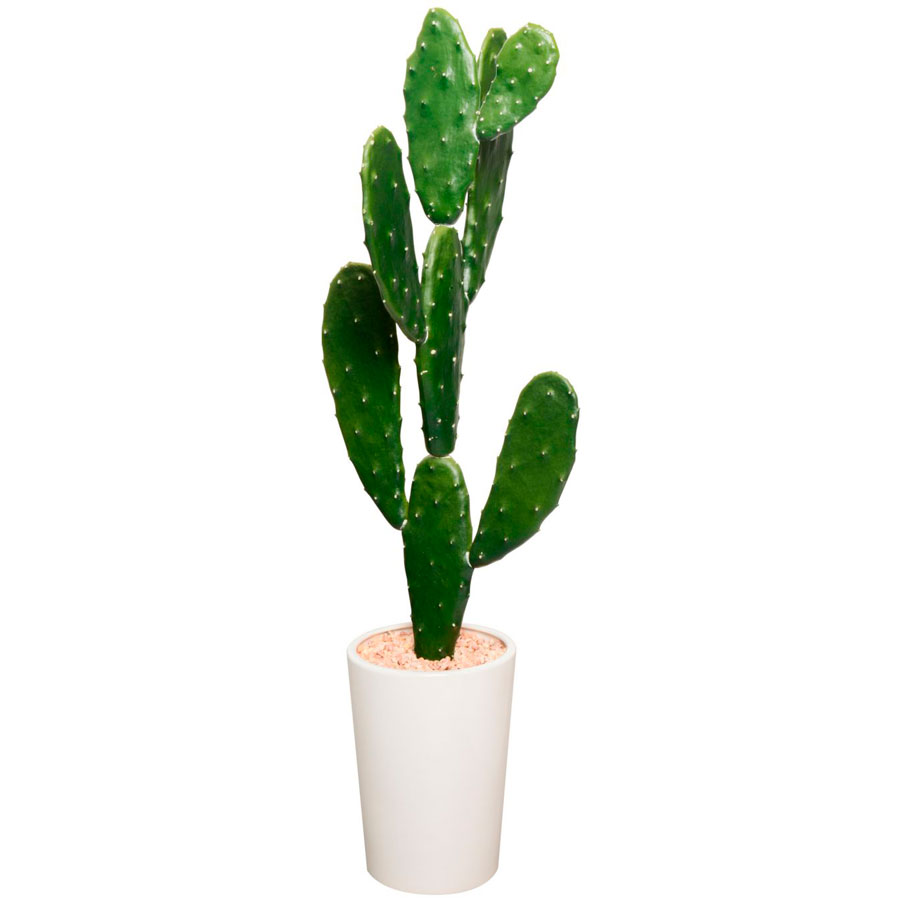 ideas no tradicionales arbol navideño cactus homy